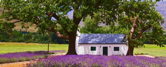 Provence in South Africa